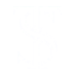 Team Stels