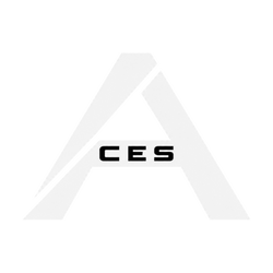 Team ACES