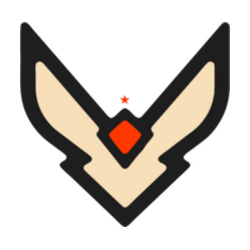 Team Vision