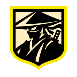 Team Samuraj