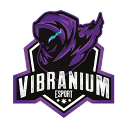 Vibranium Esports