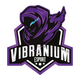 Vibranium Esports