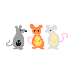 3RATS