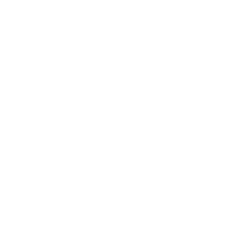 Team Secret Whales