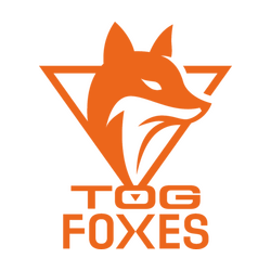 TeamOrangeGaming