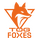 TeamOrangeGaming