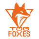 TeamOrangeGaming