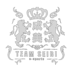 Team SEIBI
