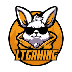 LT Gaming