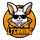 LT Gaming