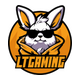 LT Gaming