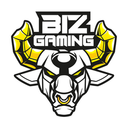 Biz Gaming