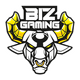 Biz Gaming