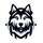 Huskies eSport