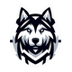 Huskies eSport