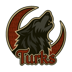 Turks LFO