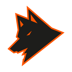 Guara Esports