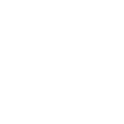 Team Secret