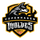 CPH Wolves Academy