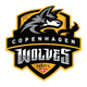 CPH Wolves Academy