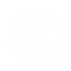 Qiang