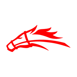 Stallions