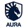 Team Liquid ID