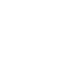 Team AceZone