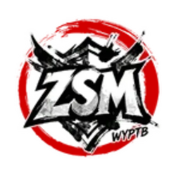 ZSM