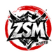 ZSM