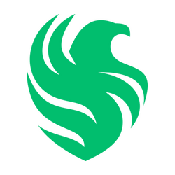 Falcons Academy Green