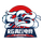 RG-QingQiu Esports
