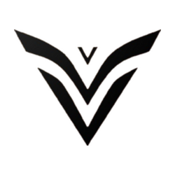 Vanguard Esports