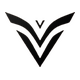 Vanguard Esports