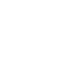 D_M_S