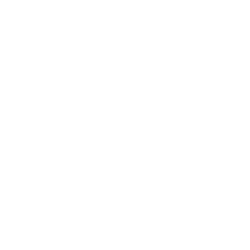 Team Solid