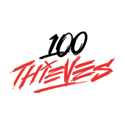 100 Thieves