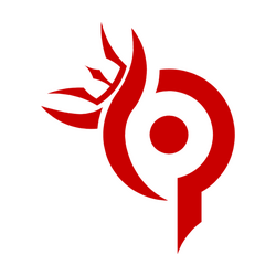 Team Paradox