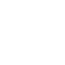 Team Secret