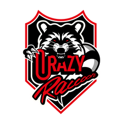 Crazy Raccoon
