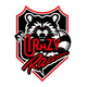 Crazy Raccoon