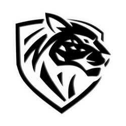 Ilbirs eSports