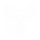  REBORN