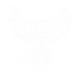 REBORN