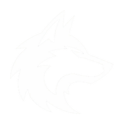 NOKAR Esport