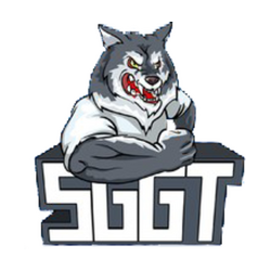 SayGGTeam