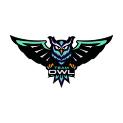 Team OWL