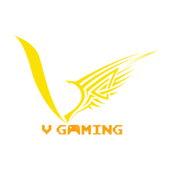 V Gaming