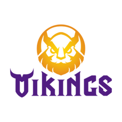Vikings Esports
