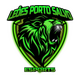 Leoes Porto Salvo Esports